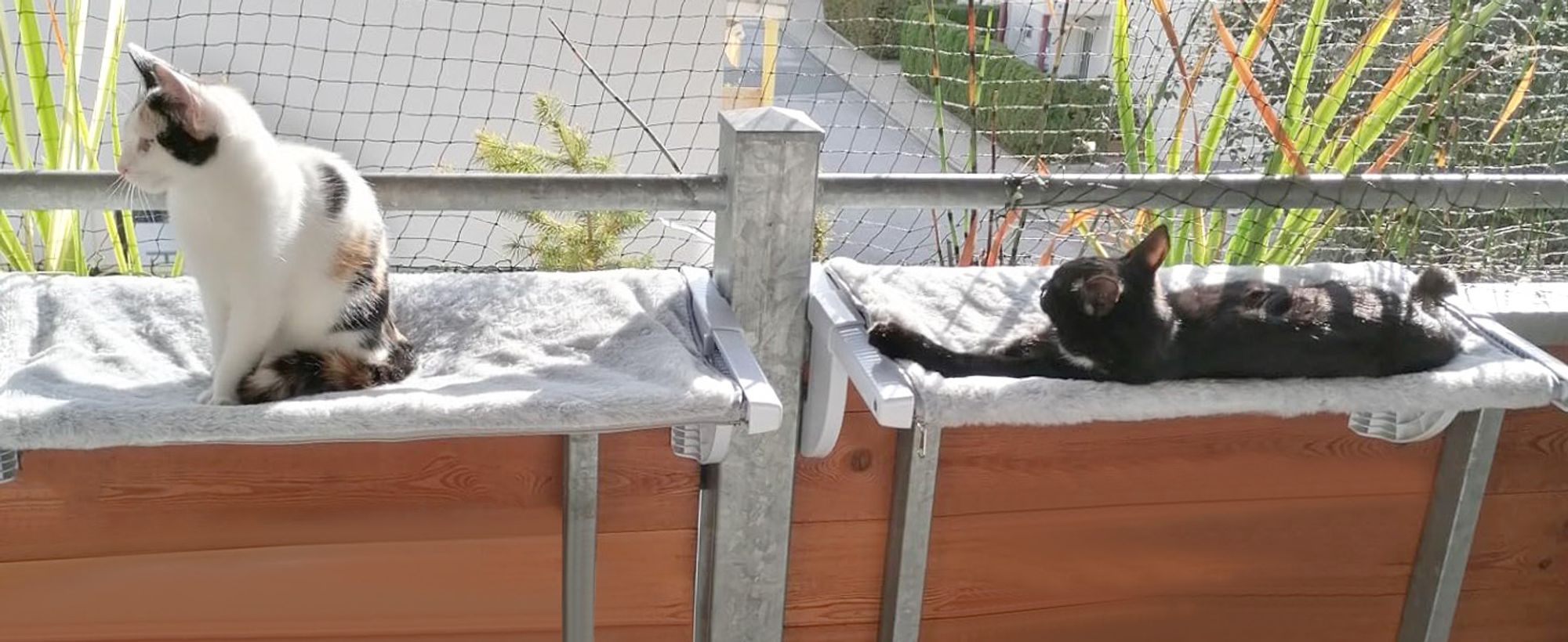 Katzenliege Balkon Fensterhängematte für Heizung Heizkörper Hängematte für Katzenfenster Katzen Fensterliege Fensterplätze Katzenbett Fensterbank