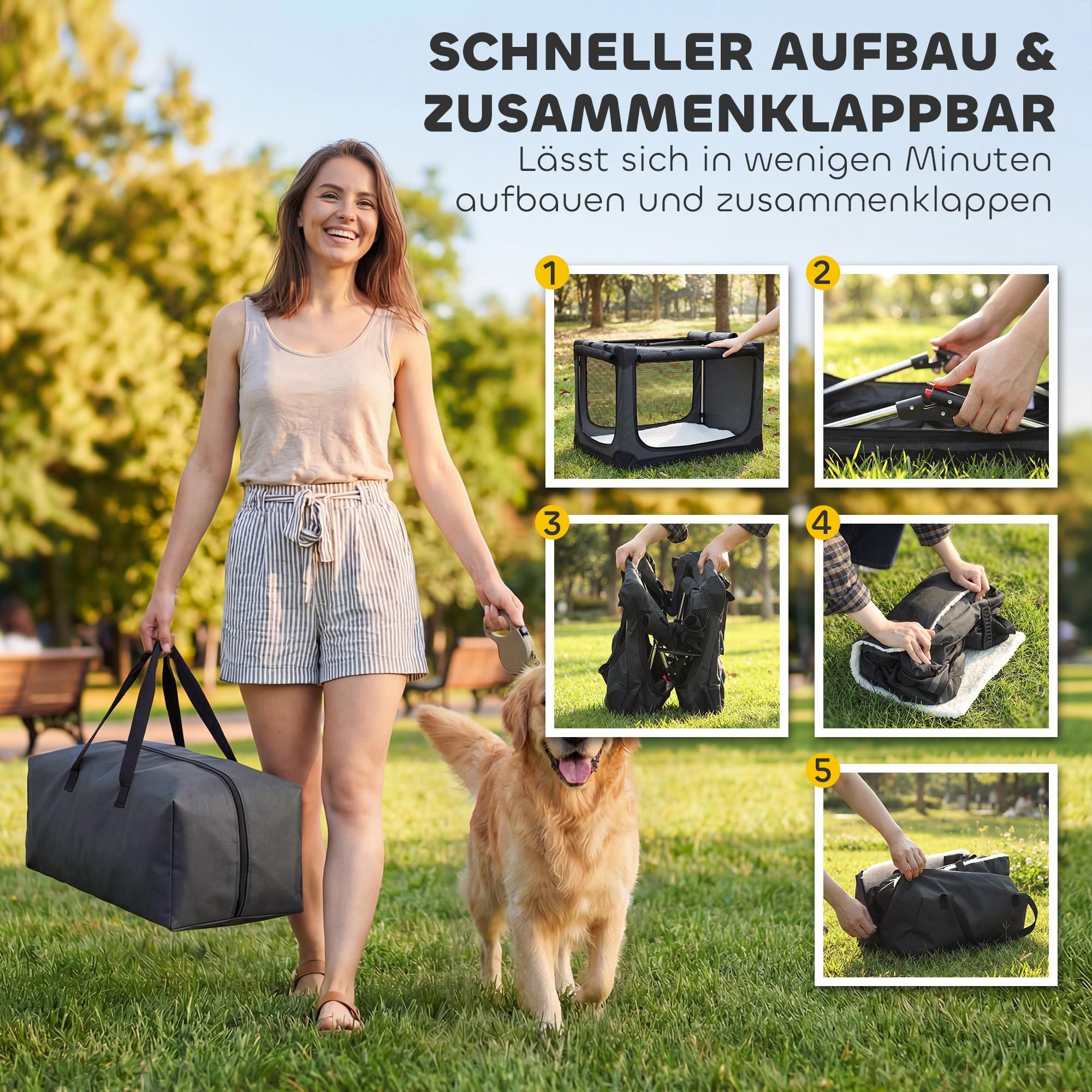 groß Hund Reise