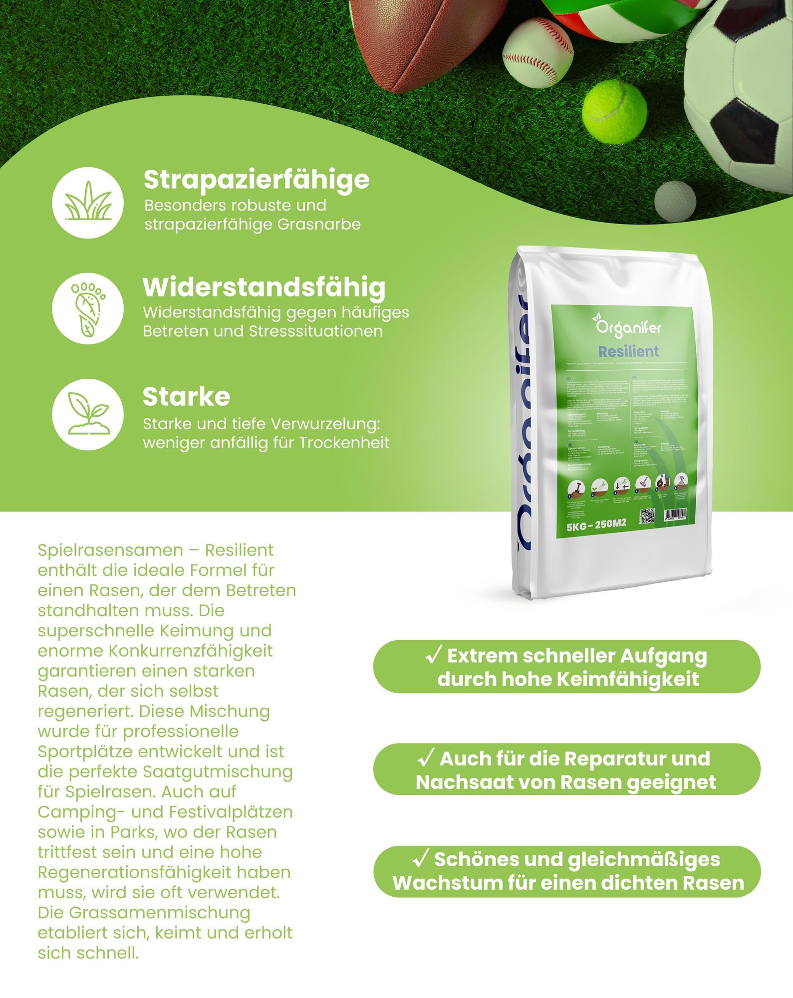 Spielrasensamen Resilient - 10 kg = 500 m² – Rasensaat Für Spielrasen & Hausgarten, Strapazierfähiger & Trittfester Rasen, Nachsaat – Organifer