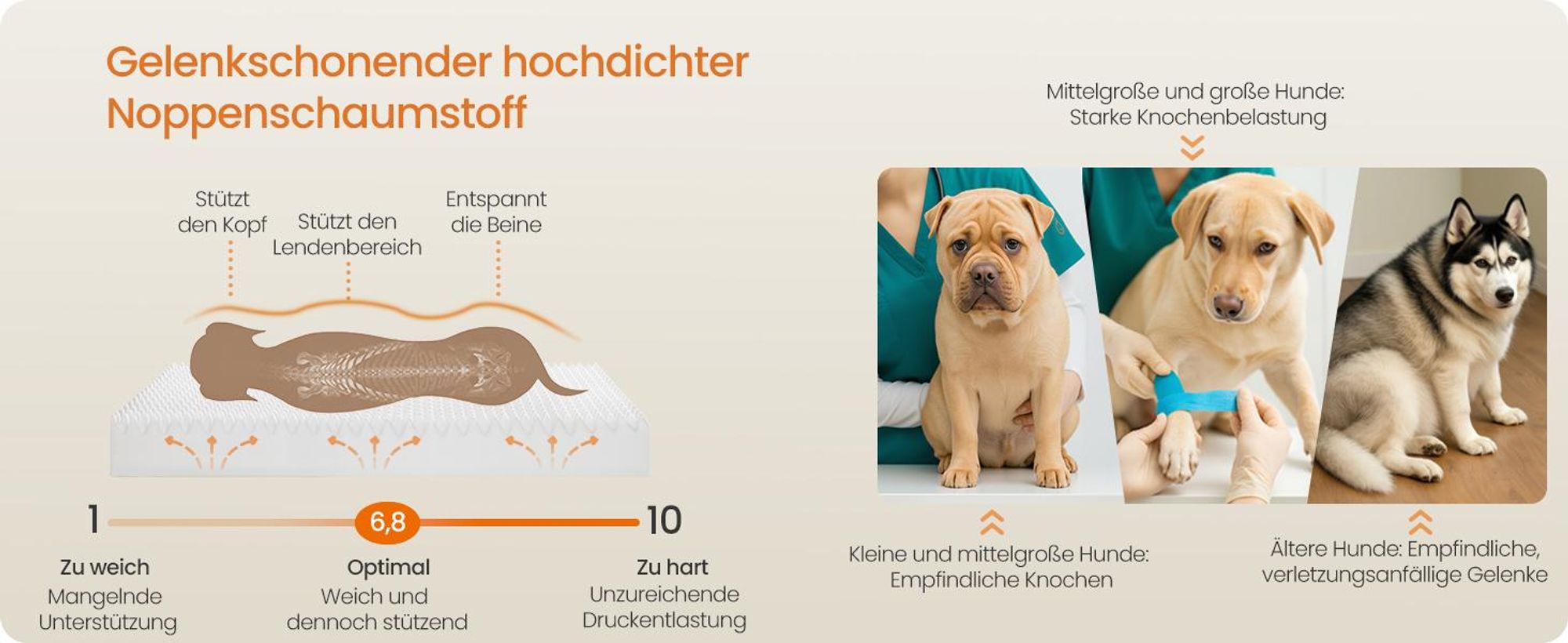 Feandrea Hundebett, Hundekissen, wasserdichte Innenschicht, erhöhte Ränder, abnehmbarer