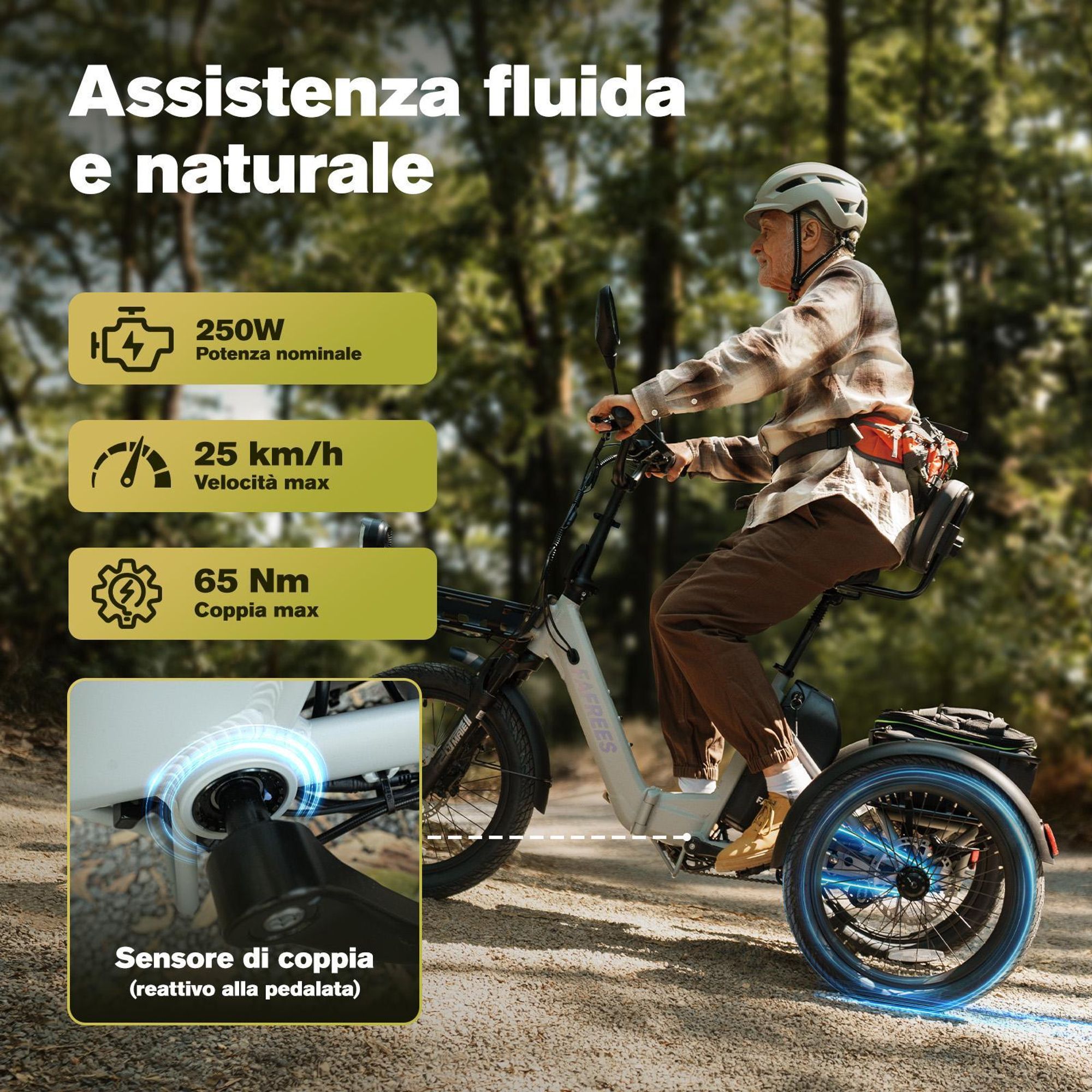 Bicicletta elettrica FAFREES F20 Mate II - Motore 250W Batteria 48V25AH 20" Pneumatici Freno a disco idraulico - Gunfire Nero