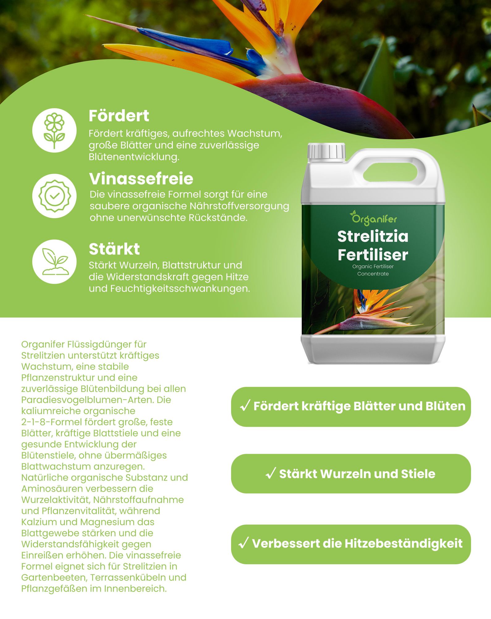 Strelitzien Flüssigdünger 1L – 2-1-8 NPK – Flüssig-Pflanzendünger für Strelitzien – Fördert üppige Blüten & gesundes Wachstum – Organifer