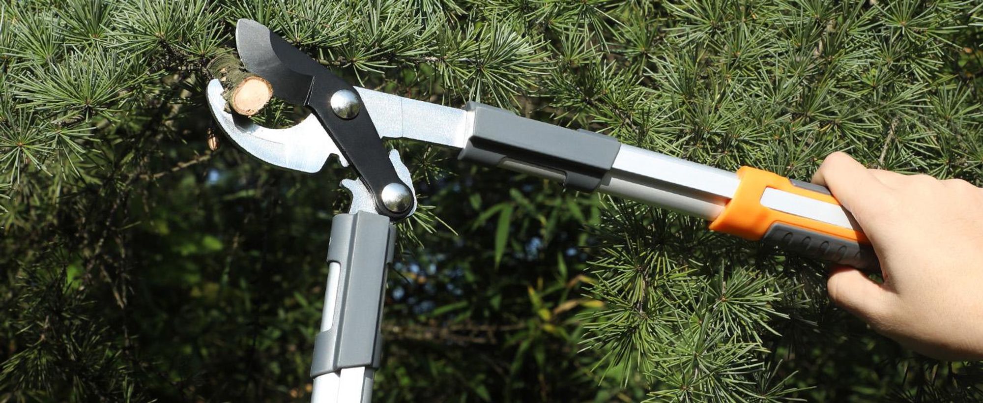 Astschere, Baumschere, Gartenschere, SK-5 Stahlklinge, Leichte, Schneidet 30mm Äste, Kann trockene und nasse Äste schneiden