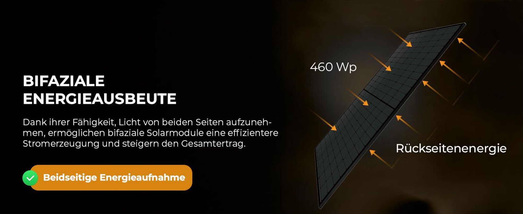 SUNNIVA 920W Balkonkraftwerk BIFAZIAL FULLBLACK komplett Steckdose AP Systems EZ1-M 800W Wechselrichter, Solaranlage 2x460W Glas Solarmodule,5m Kabel