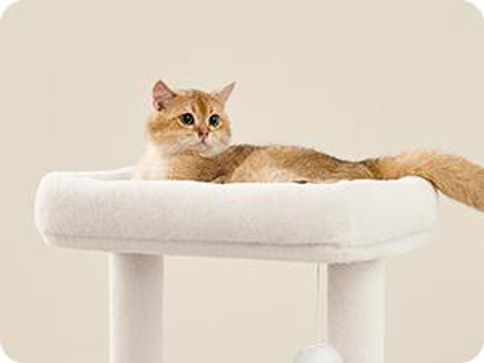 Feandrea Kratzbaum, mit Katzenklo-Schrank, 185cm, Kratzsäule, waschbares Kissen, Greige