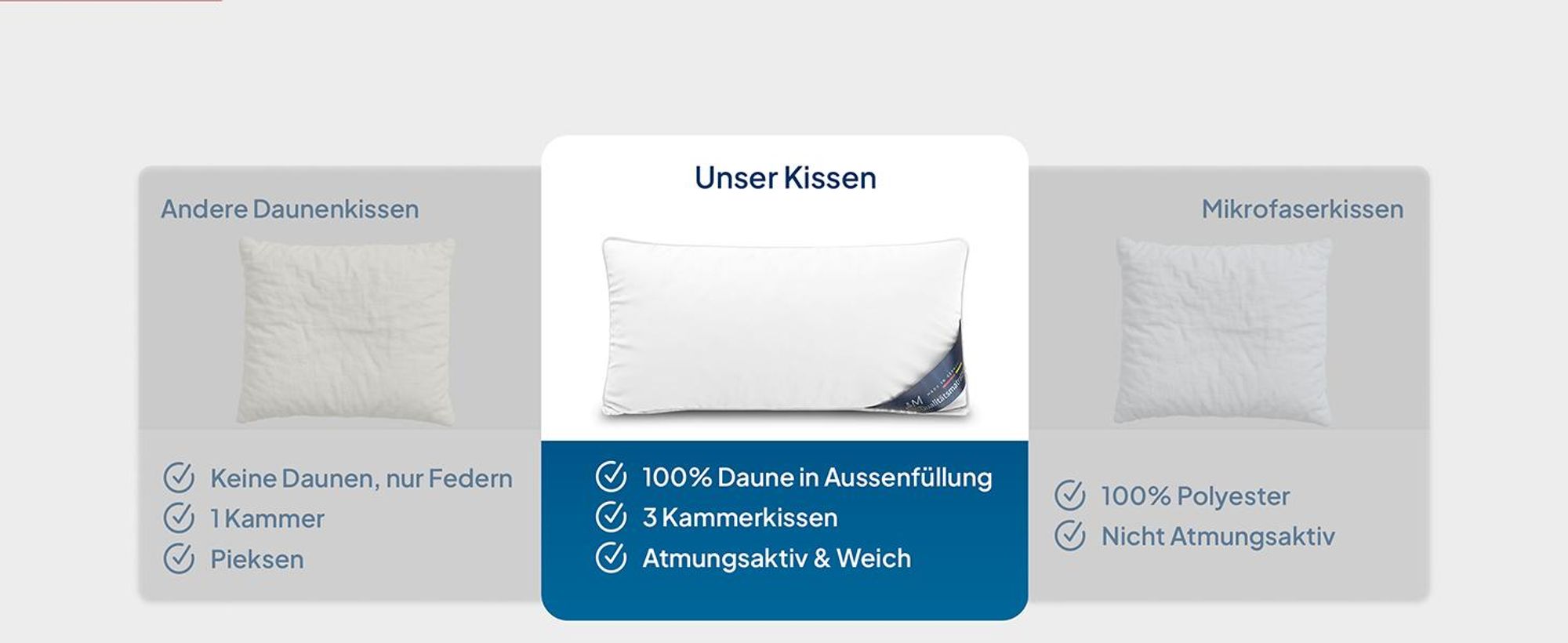 AM Qualitätsmatratzen | Premium 2er Daunenkissenset | 80x80 cm | Daunen | Kissen | 80x80 | Kopfkissen | Allergiker geeignet | Nomite | Downpass