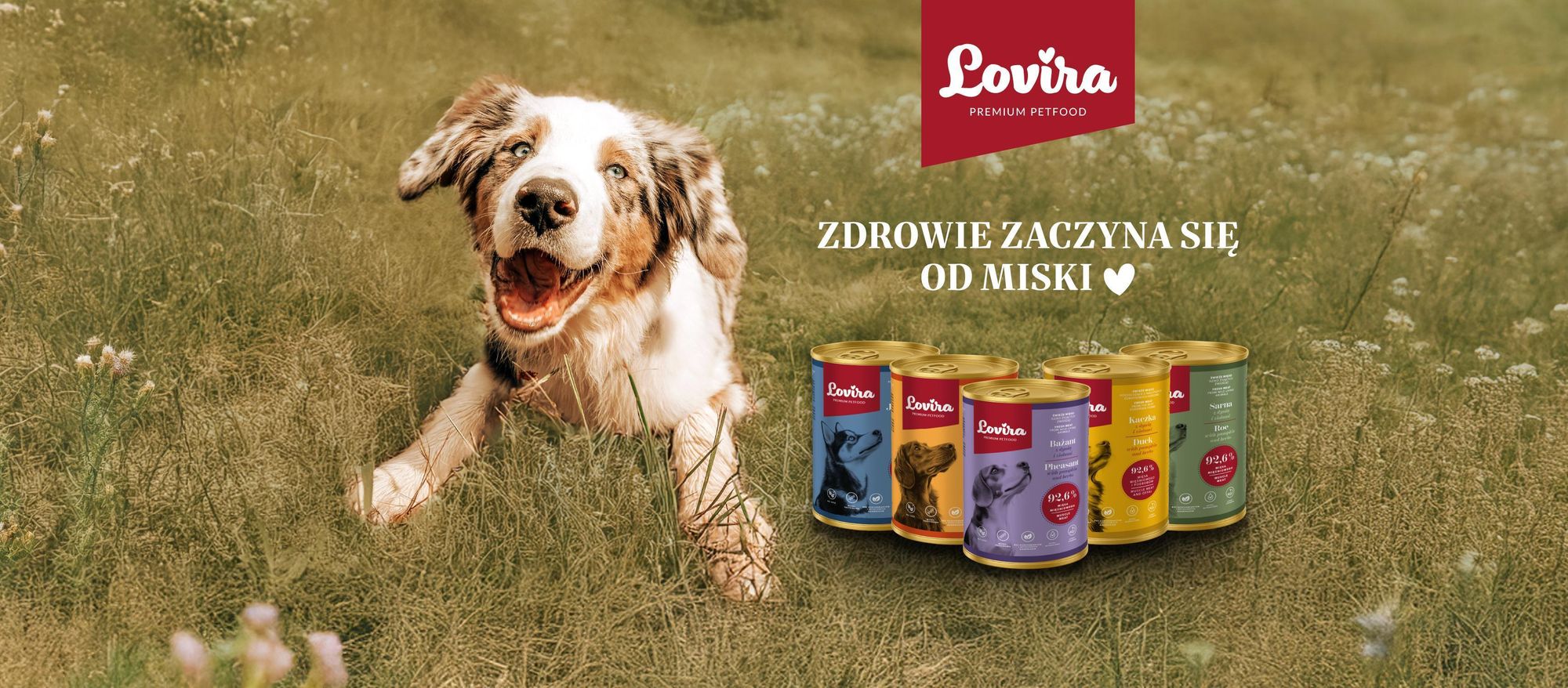 image shows a happy dog next to a pile of food cans