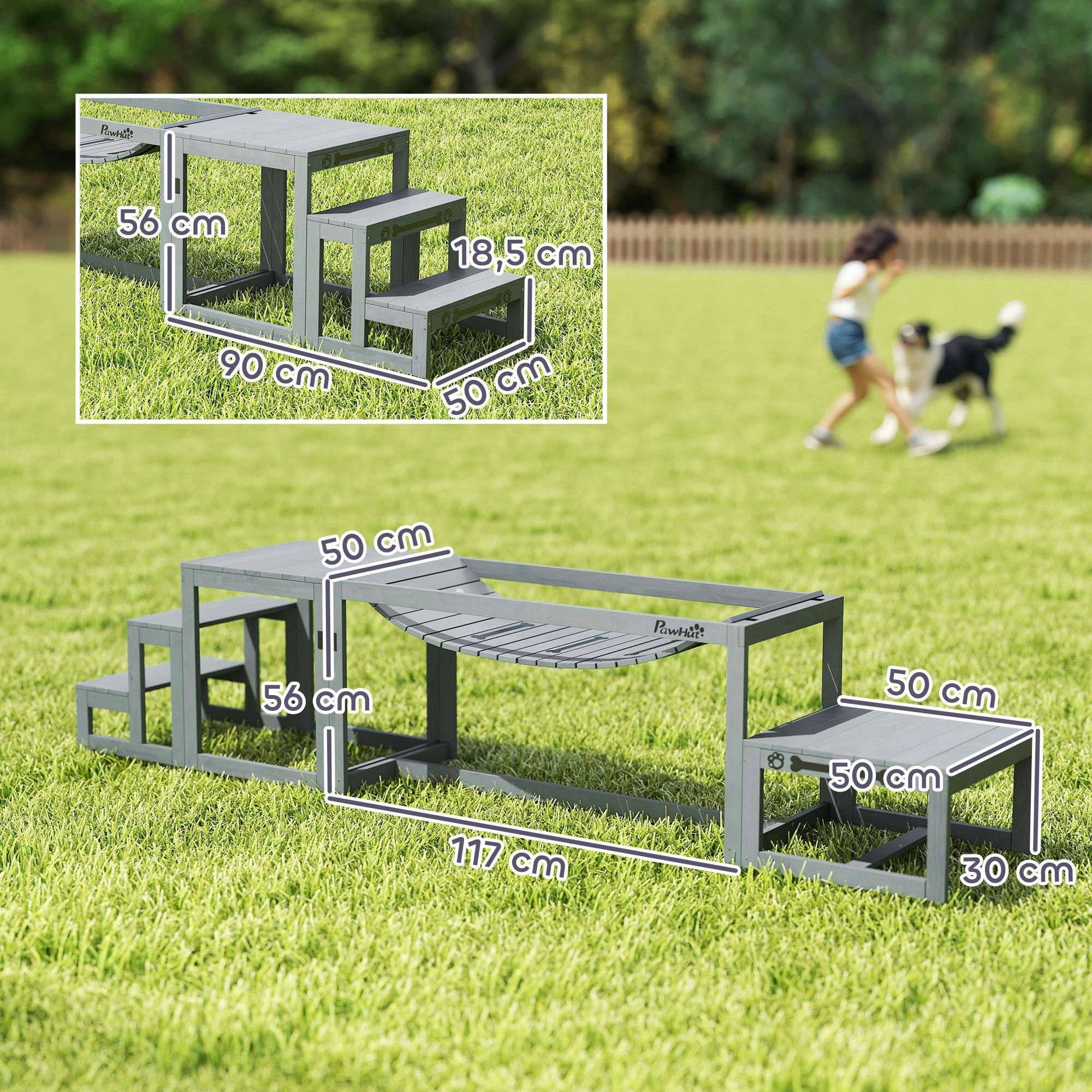Agility Hundetraining Ausrüstung
