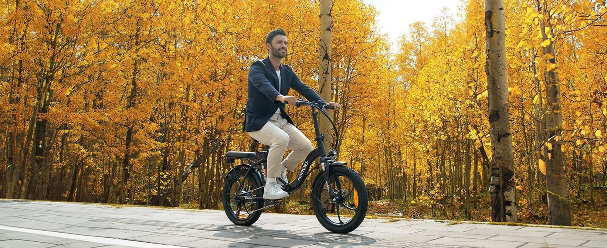 HillMiles E Bike, E-Bike pliable avec batterie 36V 13Ah jusqu'à 80-100km, 20 *3.0 pouces, 7-vitesse SHIMANO, moteur 250W & 25km/h MilePort 1