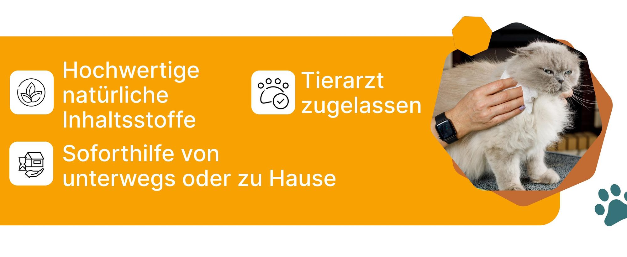Japan Premium Katzenshampoo Tücher – 25 Trockenshampoo-Feuchttücher mit Kollagen & Plazenta, reinigend & desodorierend für Katzen (30x20 cm)