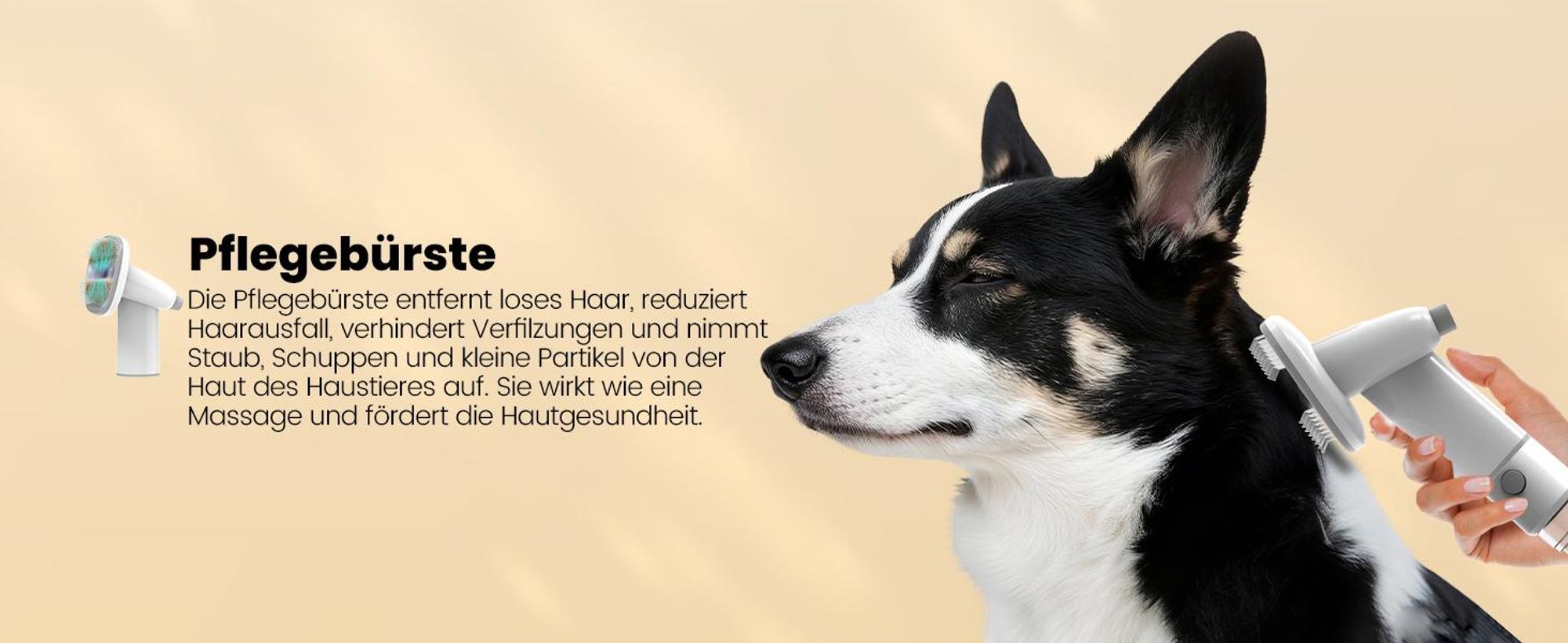 AIRROBO GP04 Hundepflegesauger und Hundehaarsauger, 12000 Pa Saugleistung, Hundestaubsauger zur Fellpflege, Haustier-Staubsauger-Pflegeset