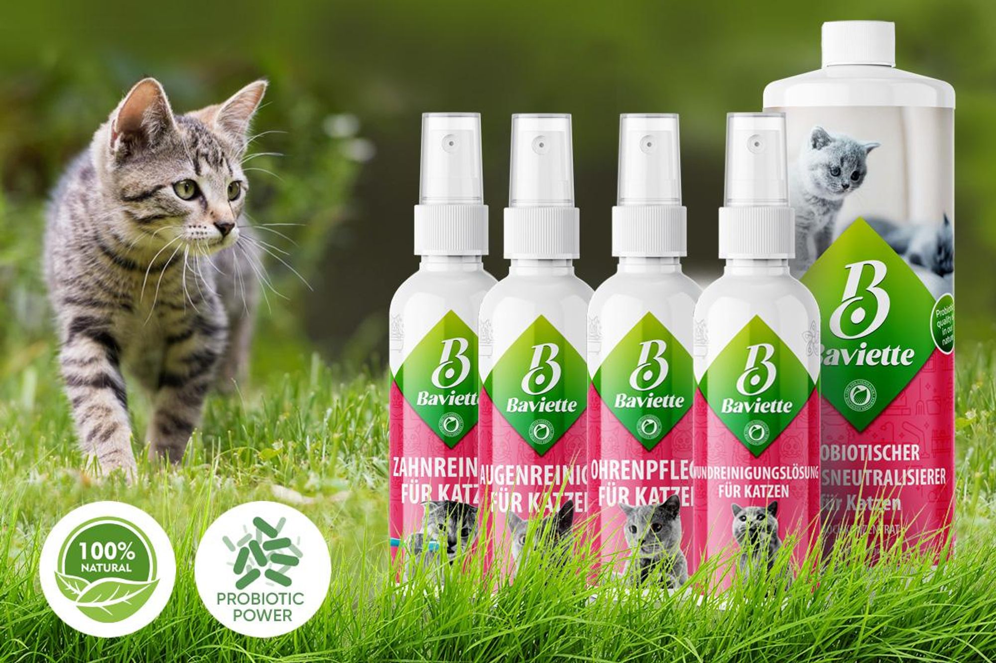 Baviette Augenpflege Katze 100 ml – milde Pflege mit Mikroorganismen für die äußere Augenpartie, geruchsneutral