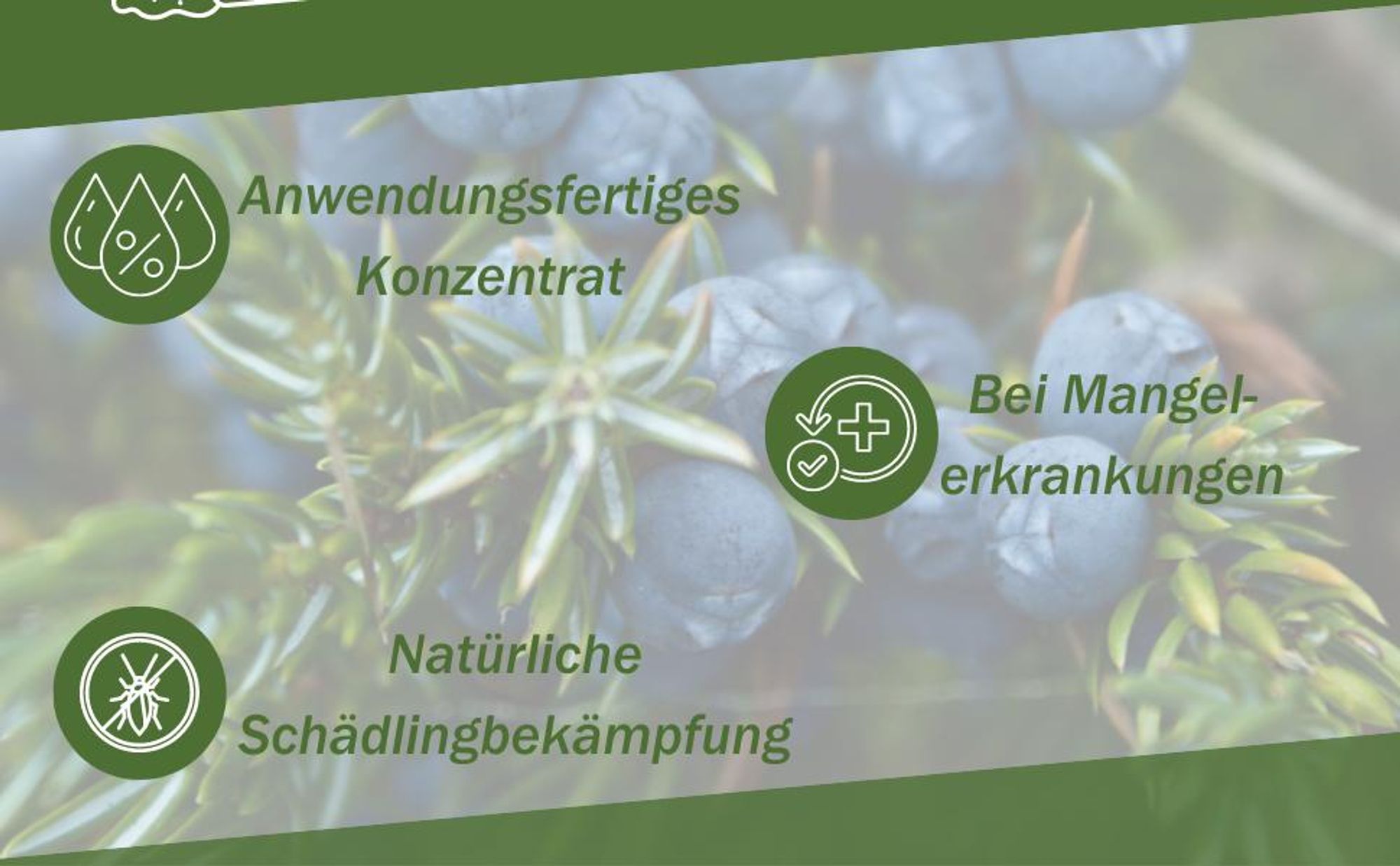 GreenPanda Heidelbeer- & Blaubeerdünger - Verbessert Ernte & Geschmack! - 1 Liter Beerendünger