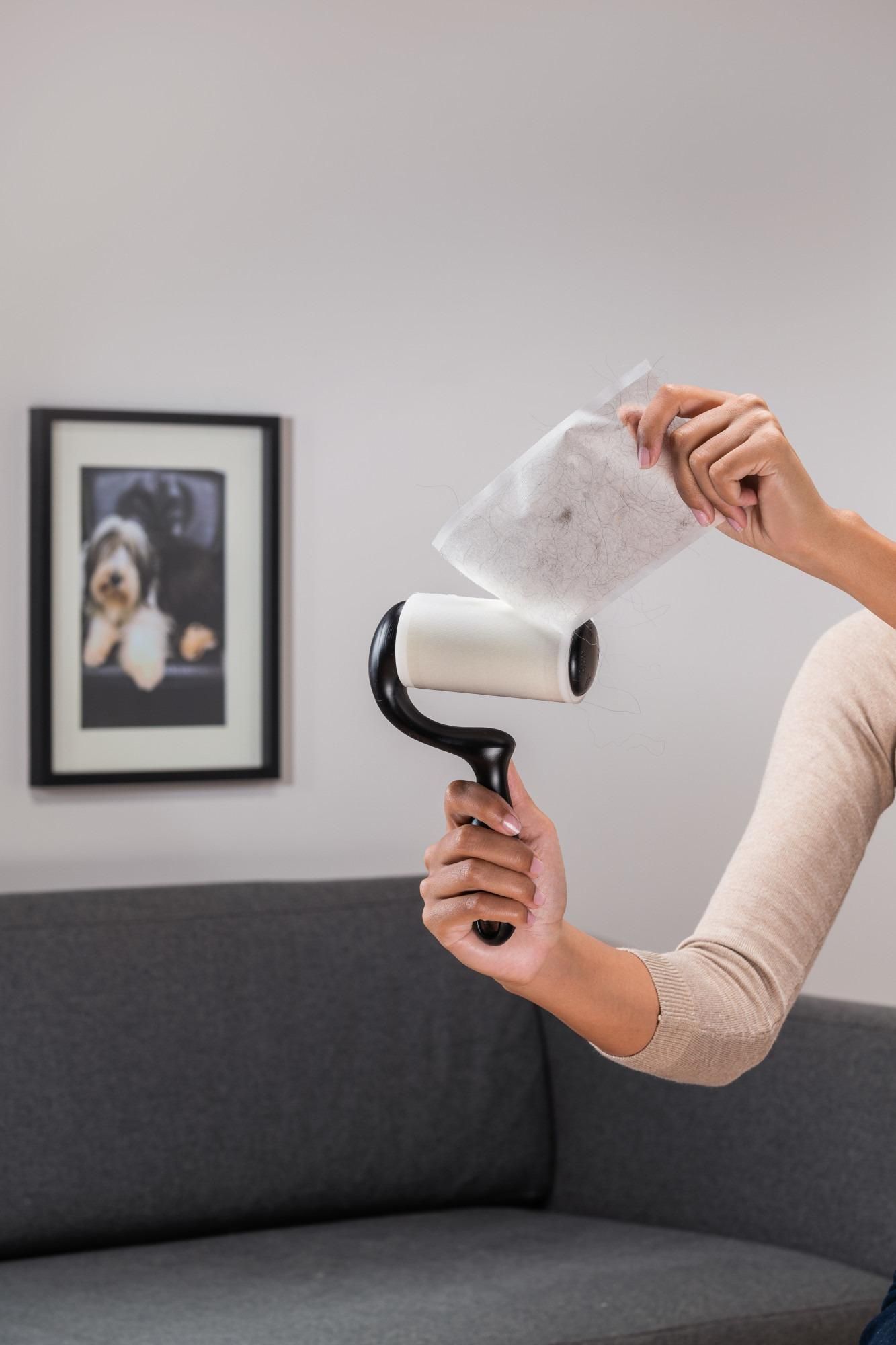 Scotch-Brite™ Pet Extra Sticky Roller + 4 Nachfüllrollen Tierhaare