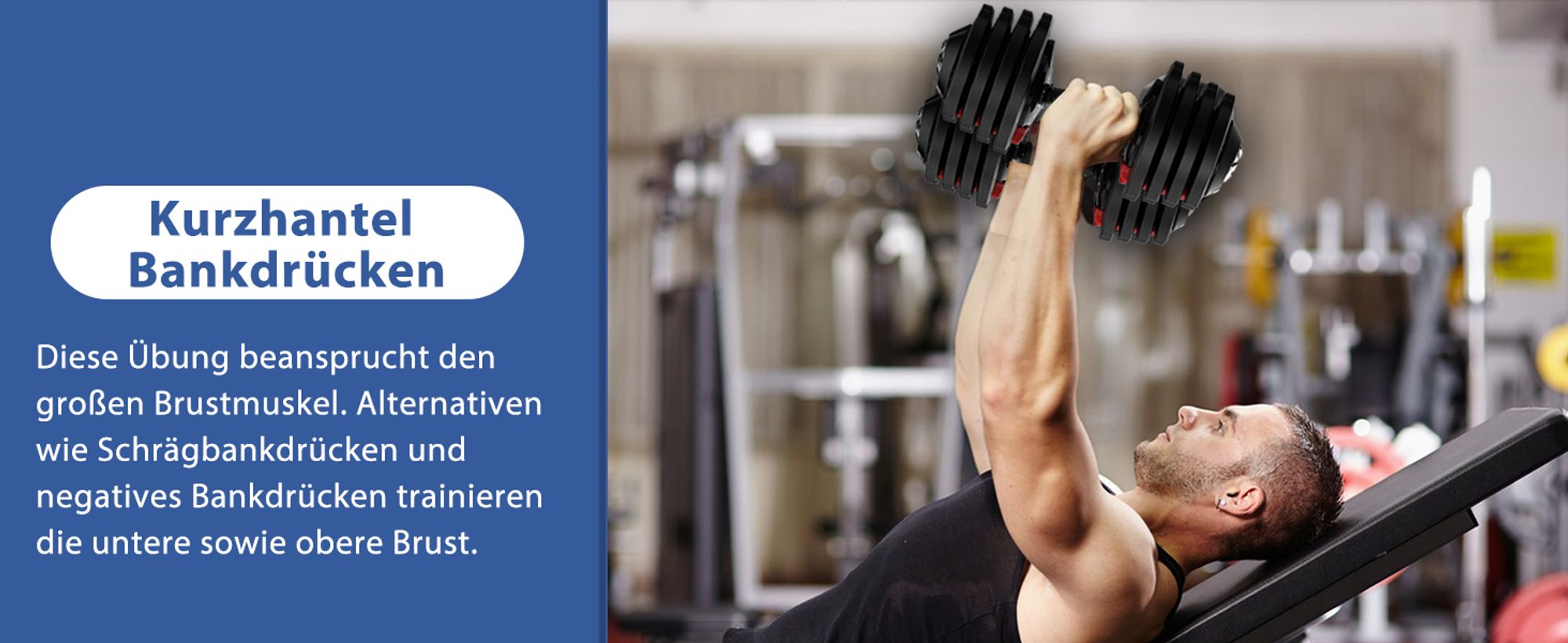 DH FitLife 2 x 18 kg (2er Set) verstellbare Hanteln 1,5 bis 18 kg mit 12 Gewichtsstufen, Kurzhantel Set mit Hantelscheiben, verstellbare Kurzhanteln,