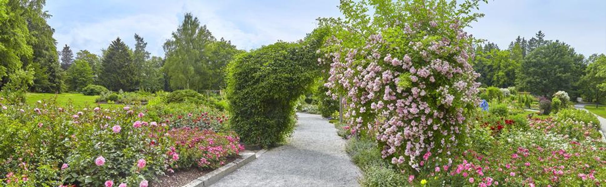 GARDEBRUK® Rosensäule 200x40cm Metall Stabil Wetterfest Garten Rankgitter Rankhilfe Ranksäule Metallsäule Gartensäule
