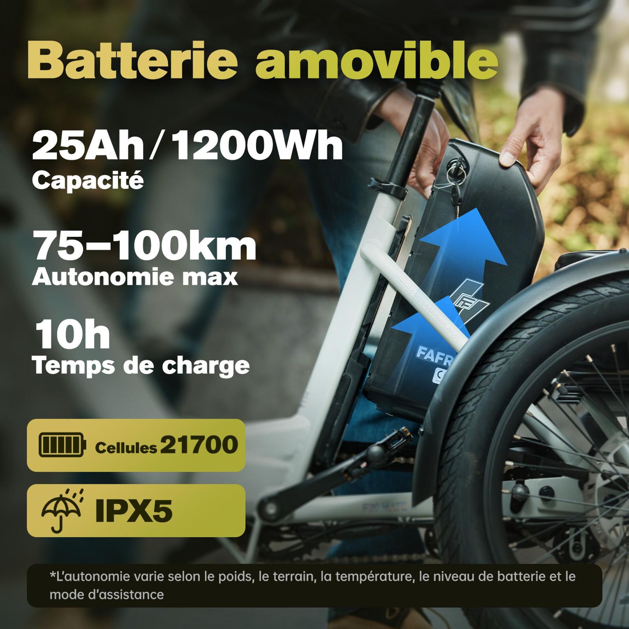 FAFREES F20 Mate II Vélo électrique - Moteur 250W batterie 48V25Ah pneus 20 pouces freins à disque hydrauliques - Noir anthracite