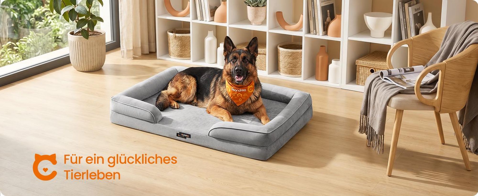 FEANDREA Orthopädisches Hundebett XXXL, abnehmbarer Bezug, erhöhte Ränder, rutschfest, waschbar, Haustierbett, hellgrau