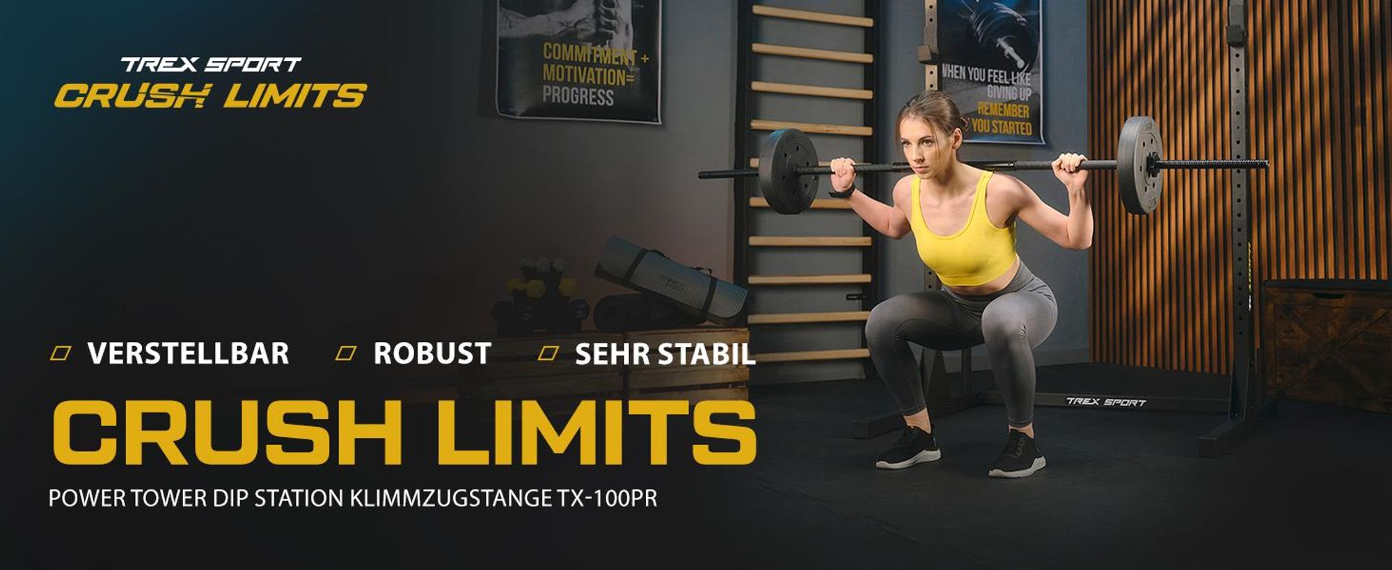 TREX SPORT Power Tower Dip Station & Klimmzugstange freistehend TX-100PR | multifunktionaler Kraftturm