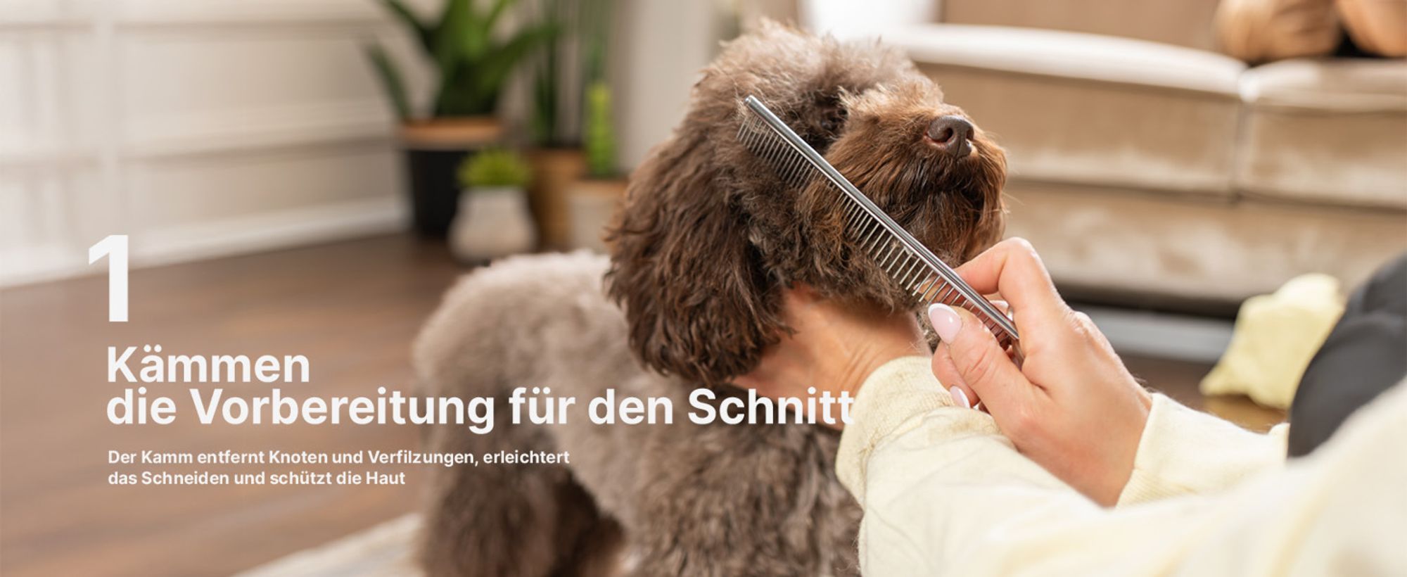 RAGI Leise Hundeschermaschine, Profi Schermaschine für Hund Katze, Kabellose Tierhaarschneidemaschine Elektrische Hundetrimmer, Haarschneidemaschine