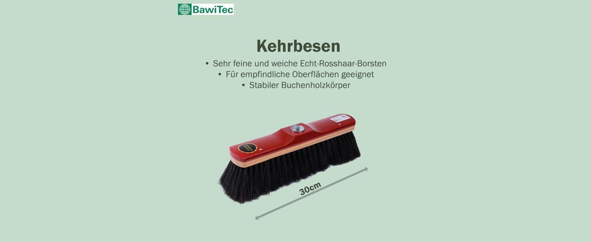 BawiTec Echt Rosshaarbesen 30cm mit Teleskopstiel Zimmerbesen Kehrbesen Rosshaar