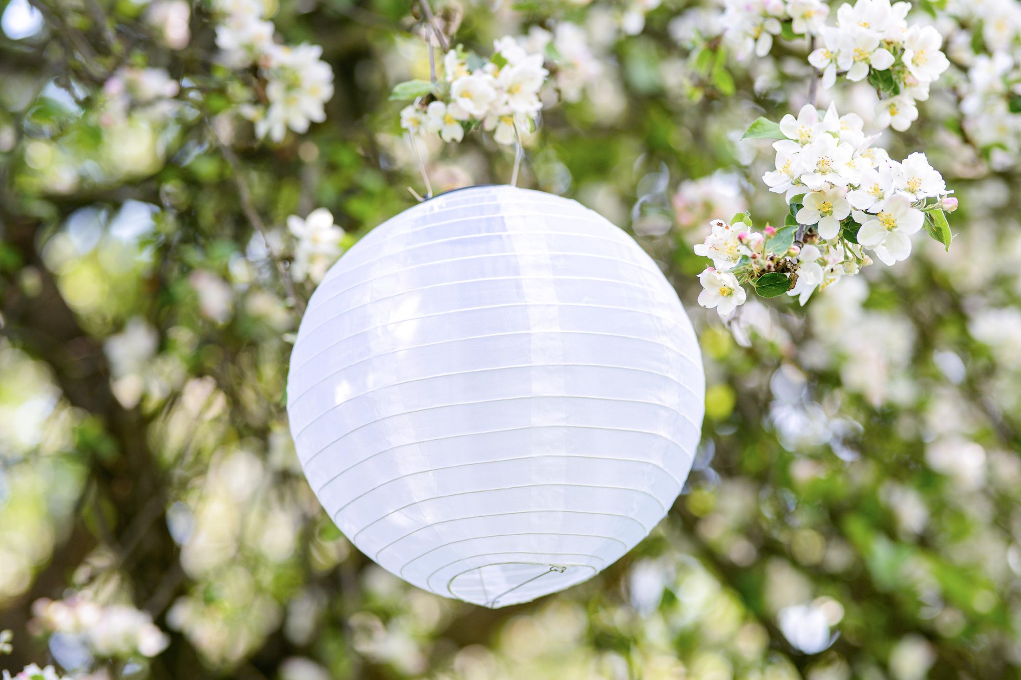 LUMILED Solar Lampions Außen, 4x wetterfest Solarlaterne Laterne, Ø20cm LED Lampion Solarleuchte IP44 Kugel weiß Hängend Dekorative wetterfest