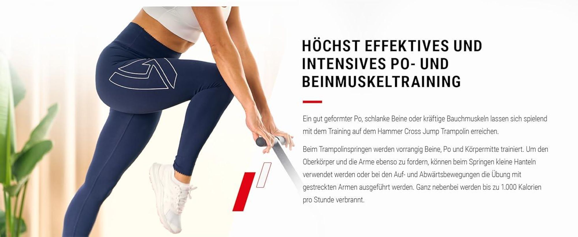HAMMER Fitness-Trampolin Cross Jump, 98 cm Sprungfläche, bis 130 kg Gewicht