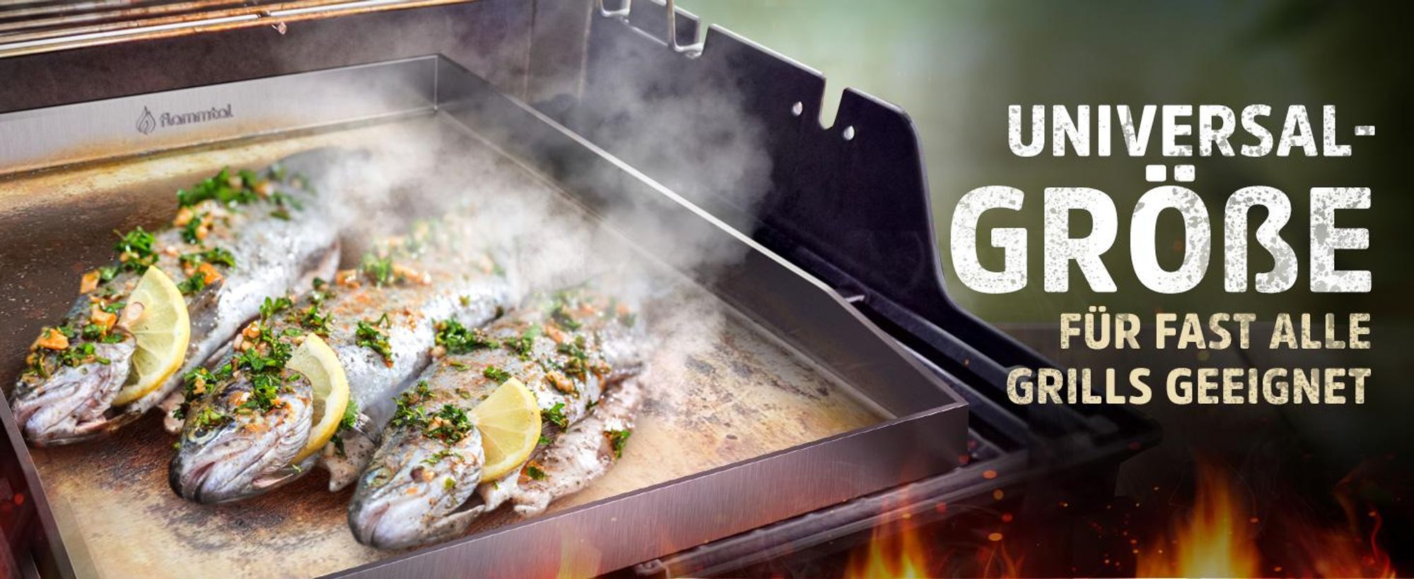 Flammtal [Das Original] – Grillplatte aus 4mm rostfreiem Edelstahl [40x30cm] – Plancha Grillplatte mit Grillspachtel Set & Burgerpapier (geschlossen)