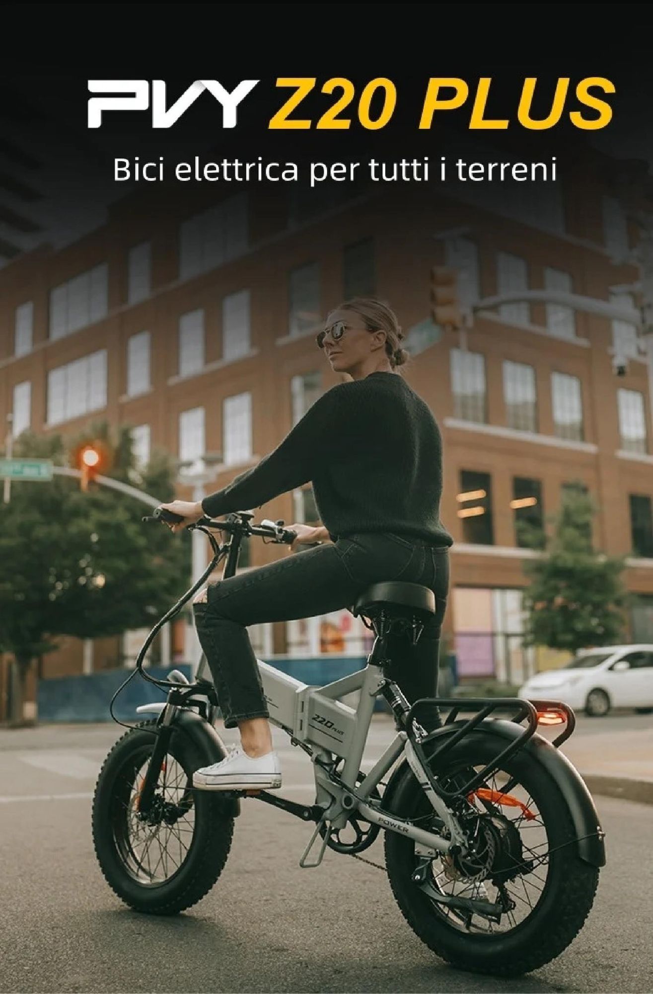 Bicicletta Elettrica PVY Z20 Plus 1000 - Motore 250W Batteria 48V16.5AH Autonomia 120KM Freno a Disco Idraulic - Grigio