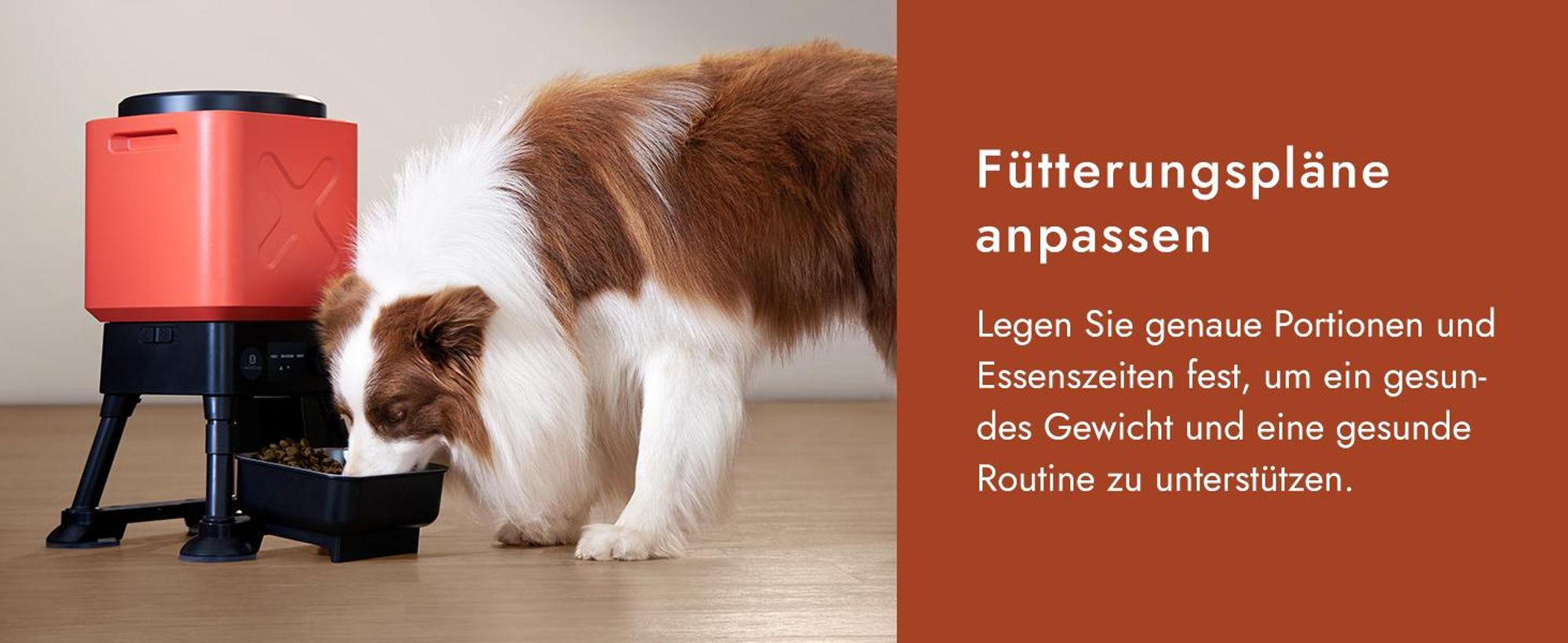Molly&Cody 14L Automatischer Futterautomaten Futterspender, WiFi Intelligenter Automat, Futternapf Automat für Hund und Katze (APP-Steuerung)