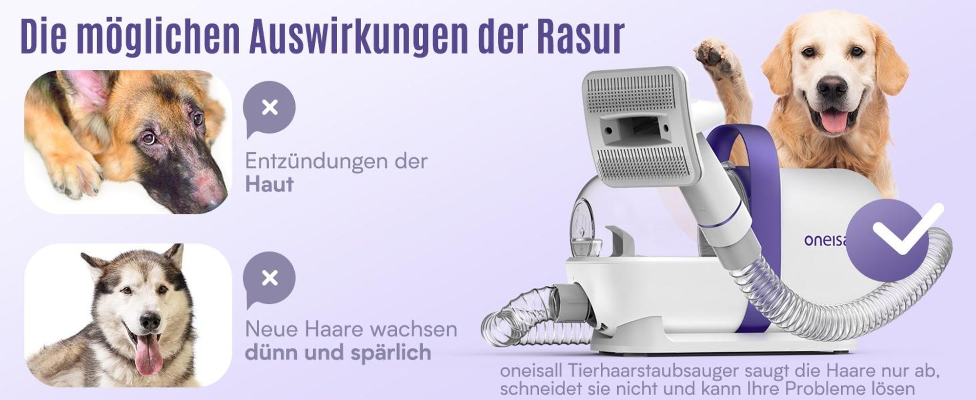 oneisall Hundestaubsauger mit Bürste, Super Saugkraft mit 12000Pa, Tierhaarentferner mit 4 Pflegewerkzeugen, 1.5L