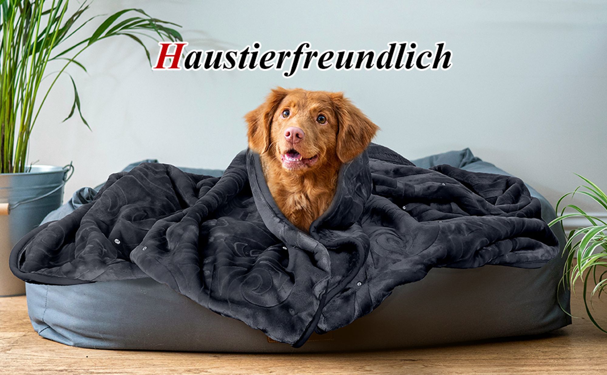 HOMELUX Kuscheldecke Wohndecke 200 x 240 cm Flauschig & Waschbar, Winter Decke Sofadecke Extra Weich & Warm Blanket für 4 Jahreszeiten, Grau