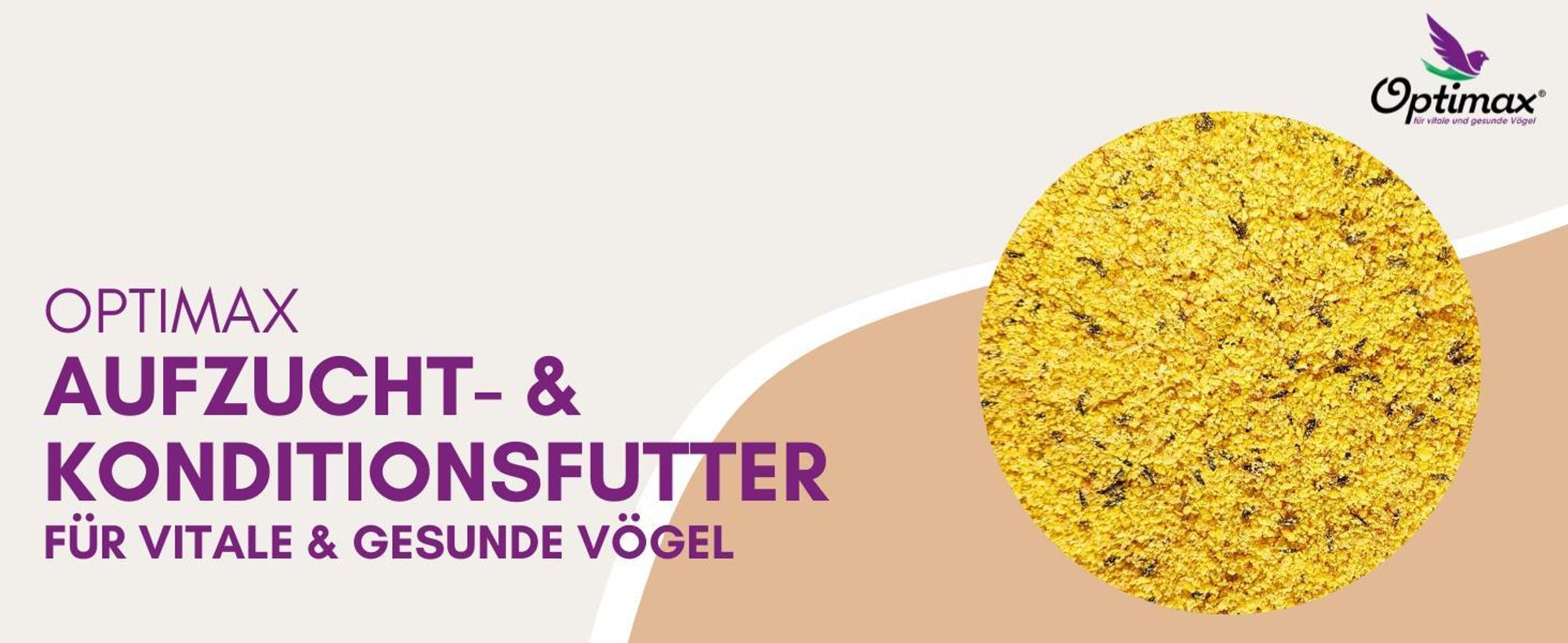 Produkt auf grafischem Hintergrund