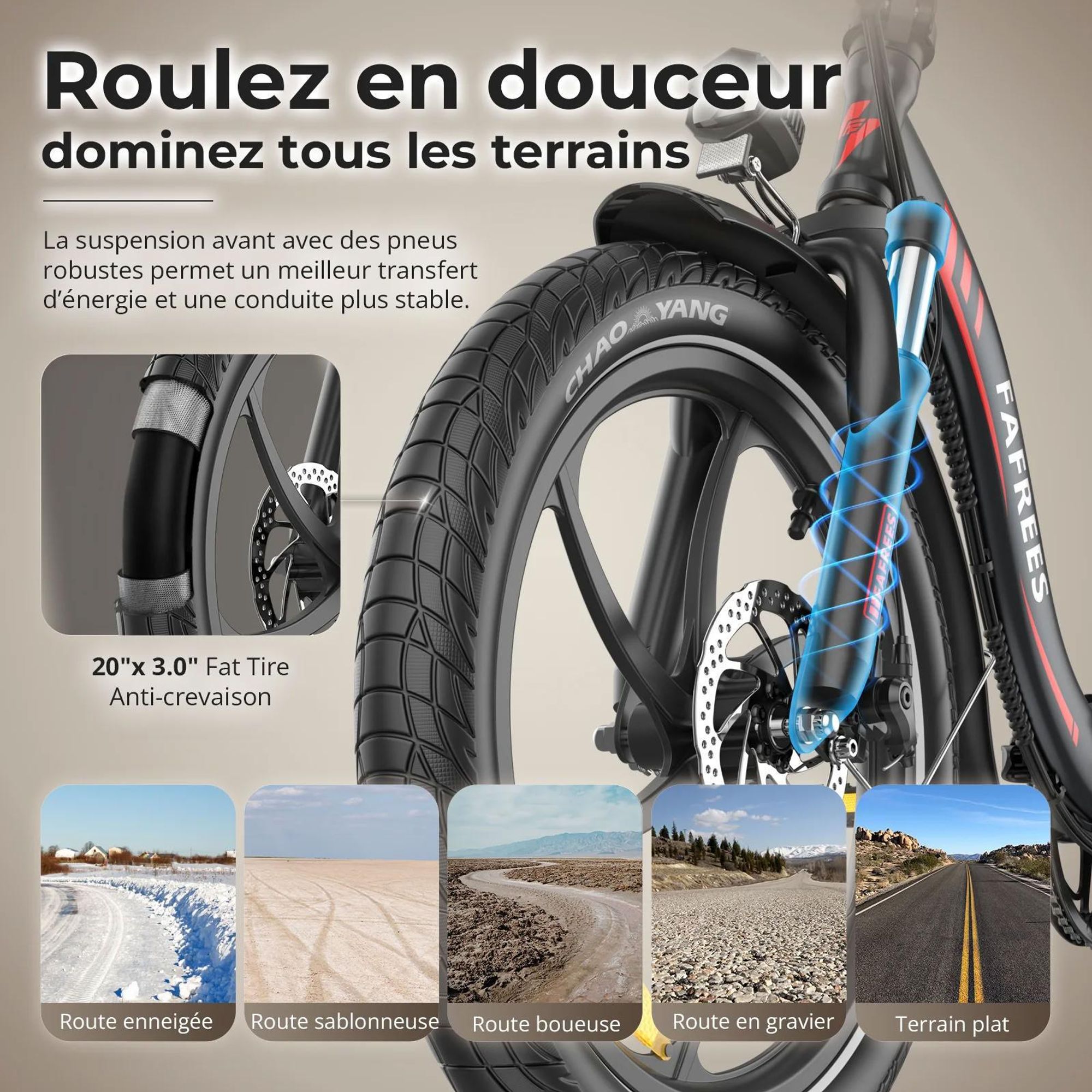 Vélo Électrique FAFREES F20+ - Moteur 250W Batterie 36V20Ah Pneus De 20 Pouces Frein à Disque Mécanique - Noir