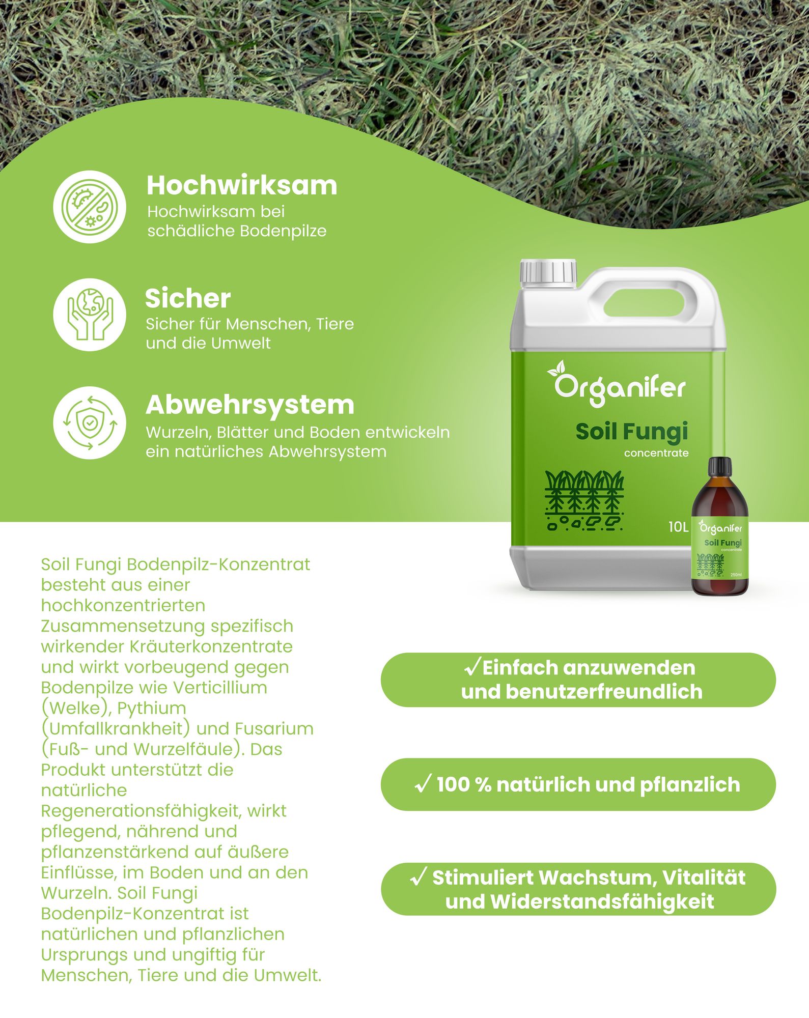 Soil Fungi Bodenpilz-Konzentrat - 1000 ml für 1000 m2- Organifer