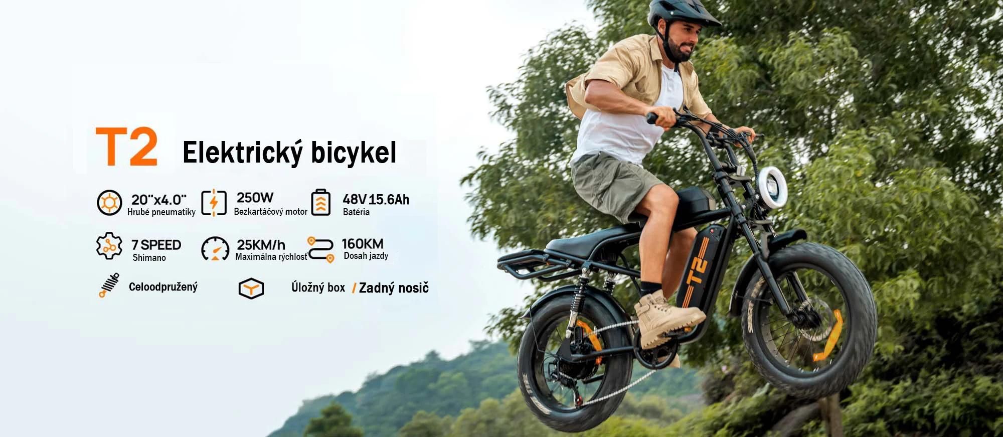 URLIFE T2 Elektrický Bicykel - Motor 250W Batéria 48V 15.6Ah Kotúčové brzdy Asistent pedálov - Čierna