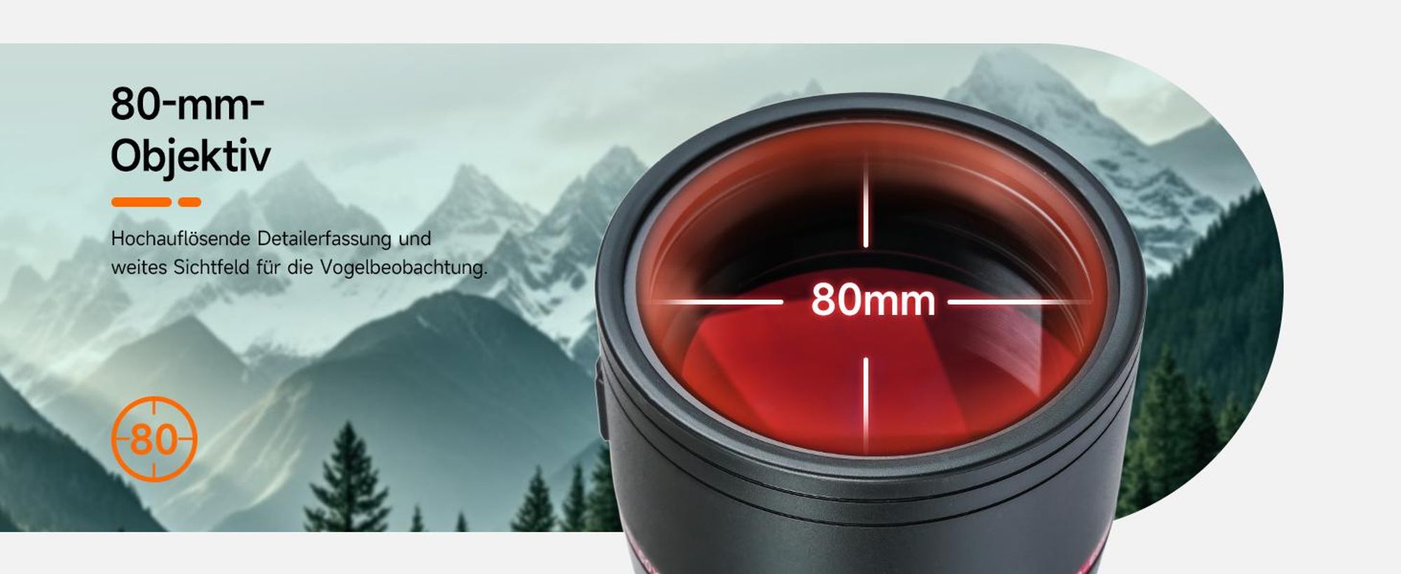 Svbony SV406 20-60x80mm Spektiv, FMC BAK4 Porro Prism mit Dual Focus, 1,25 Zoll Okular, IPX7, mit Stativ und Tragetasche für Vogelbeobachtung Schießen
