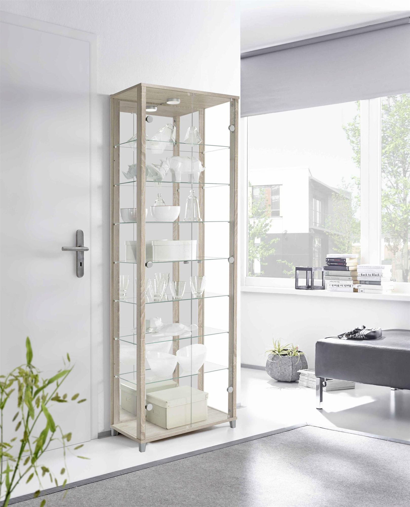 freiraum OPTIMA – Glasvitrine / Standvitrine mit 2 Glastüren und 7 Einlegeböden