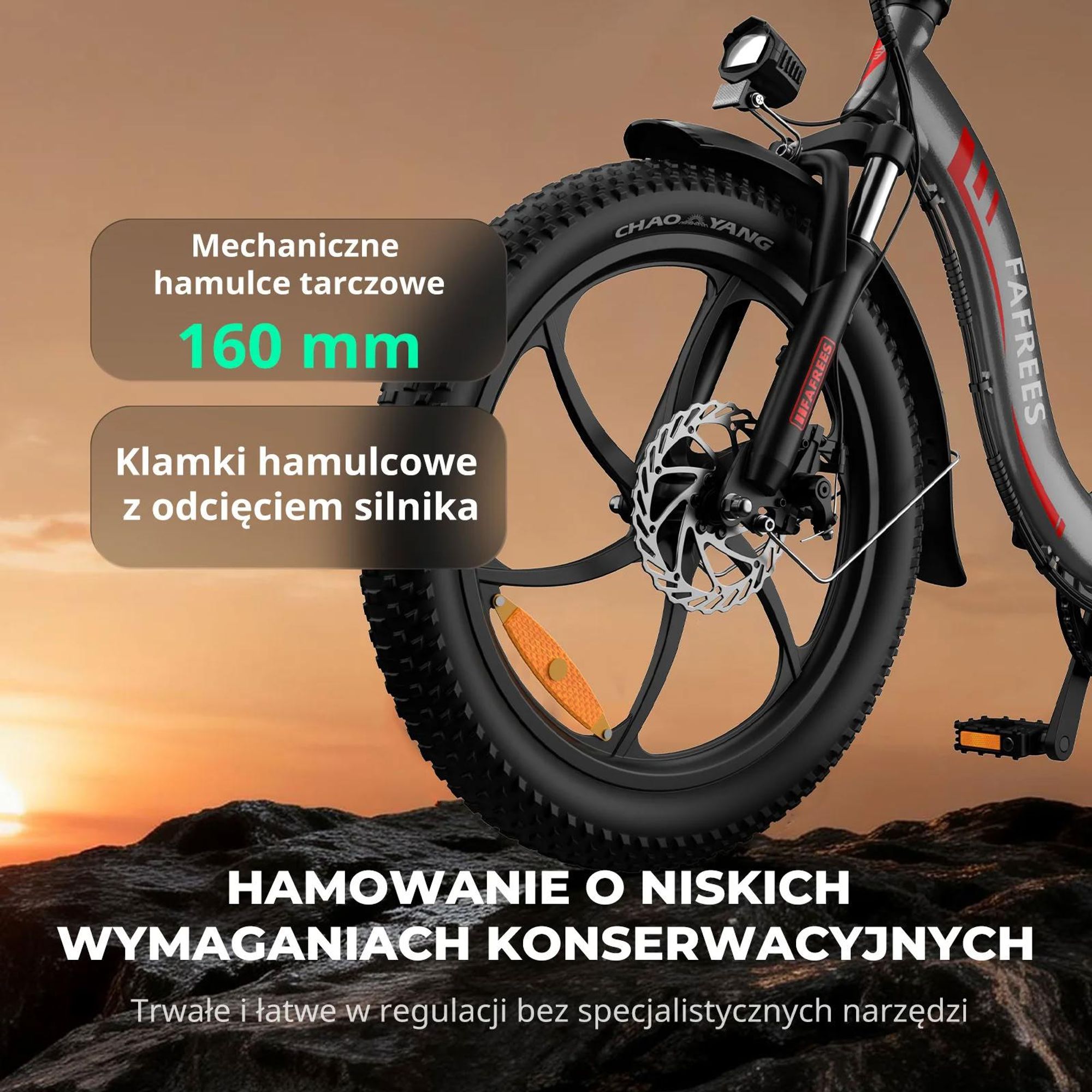 FAFREES F20 Rower Elektryczny - Silnik 250W Bateria 36V18Ah Koła 20'' Mechaniczny Hamulec Tarczowy - Szary