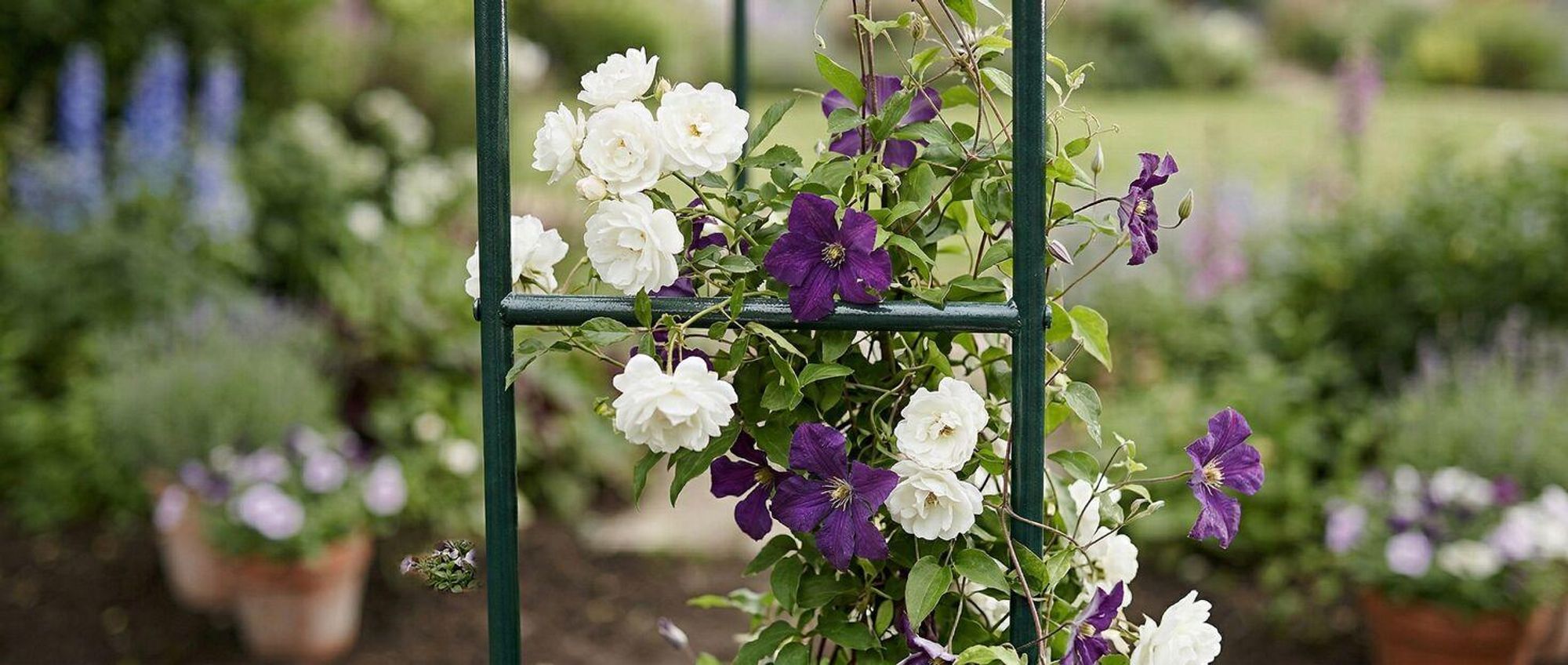 tectake® Rosenbogen aus Stahl 140 x 40 x 240 cm