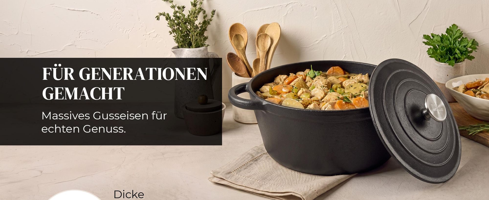 BIOL Gusseisen Topf mit Deckel Ø 25 cm 5L für Küche Backen Schmoren Braten Antihaftwirkung Für alle Herdarten geeignet
