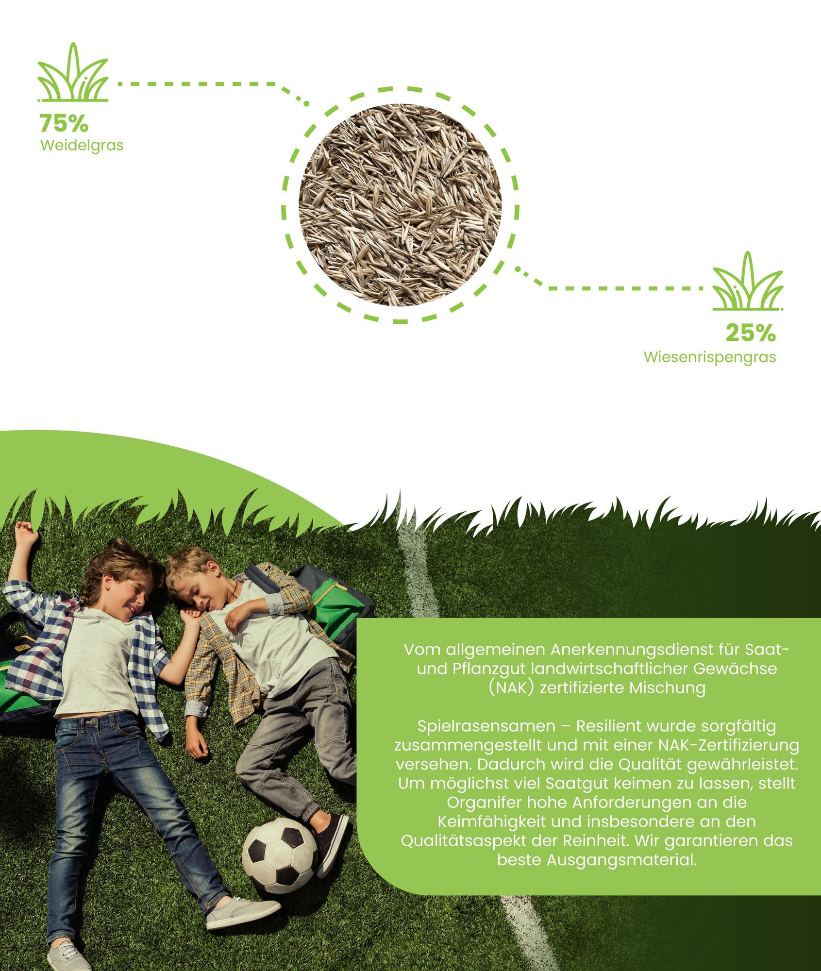 Spielrasensamen Resilient - 10 kg = 500 m² – Rasensaat Für Spielrasen & Hausgarten, Strapazierfähiger & Trittfester Rasen, Nachsaat – Organifer