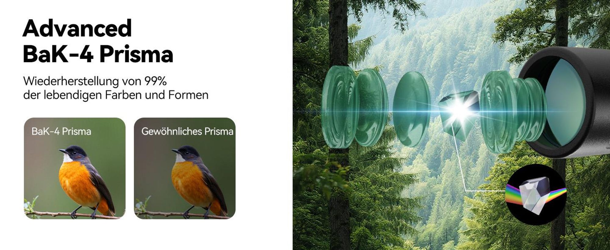 Svbony SV202 Upgraded 8x42 ED Fernglas, BAK4 Prisma, FMC, IPX7, Phasenkorrektur, Dielektrische Prismenbeschichtung, Weitwinkel, für Vogelbeobachtung