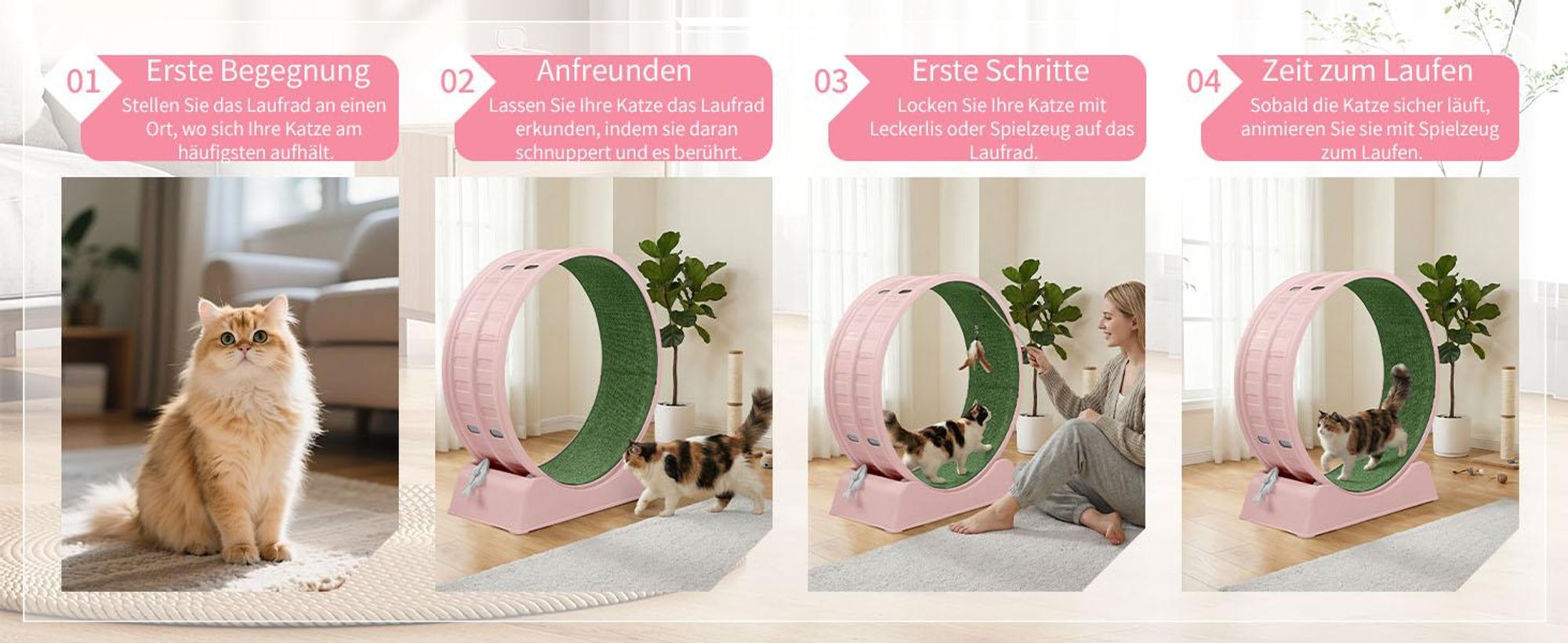 FCH Katzenlaufrad, Laufband für Katzen, Innendurchmesser 80cm, PP-Kunststoff, leise Laufband und Sicherheitsschloss-Design, Rosa