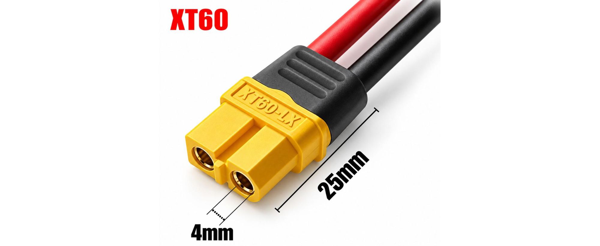 G50 XT60 Buchse auf Stecker Auto Zigarettenanzünder Adapter 12V/24V KFZ Ladekabel Netzadapter für Auto LKW Wohnmobil Boot Modellbau Stromversorgung DC