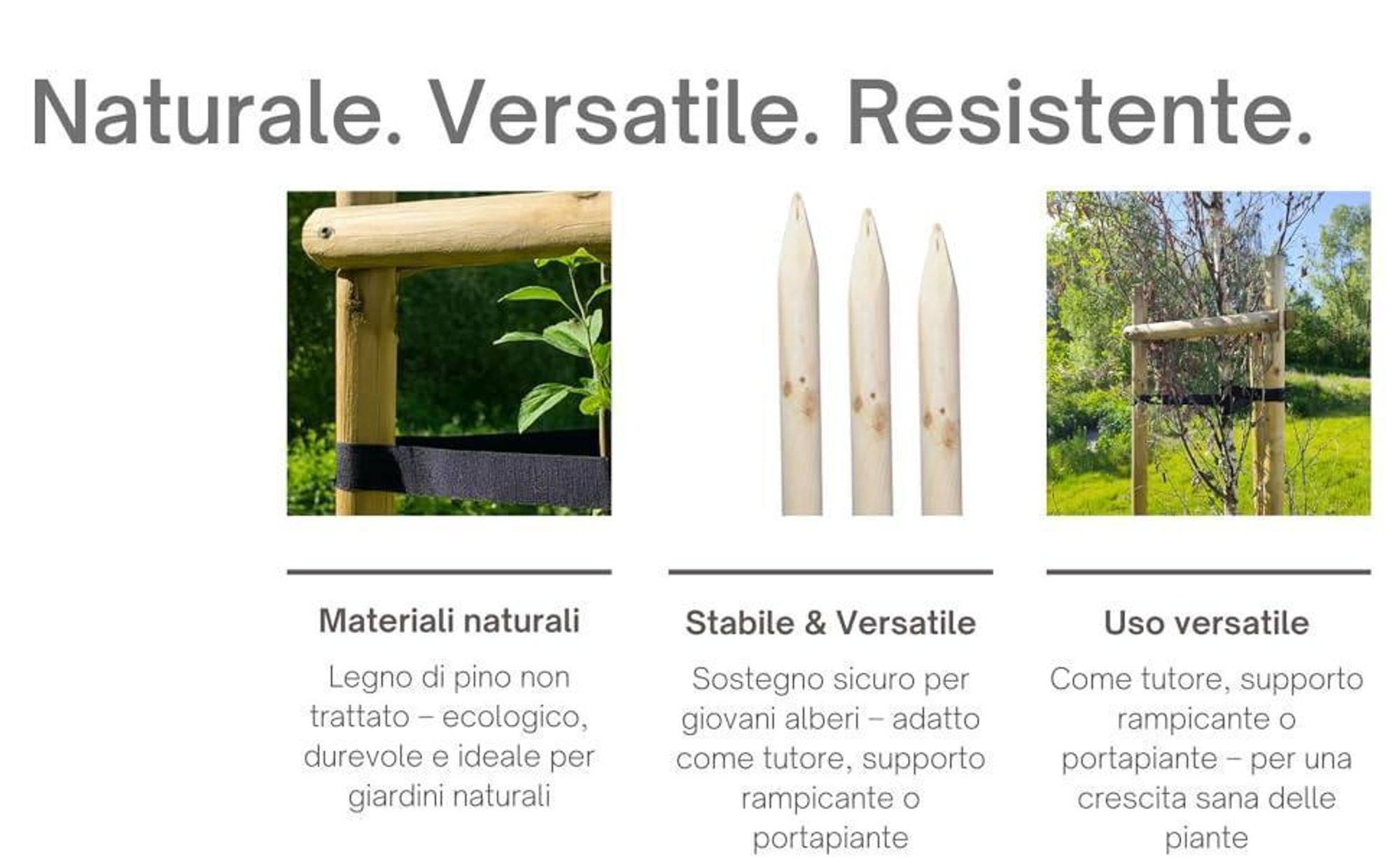 TIMBERMIK Kit Tutto Incluso per Sostegno Alberi Ø 6 cm 200 cm – 3 Pali in Legno 3 Cinghie Nere 6 Semicerchi Legno Supporto Piantagione Giardino