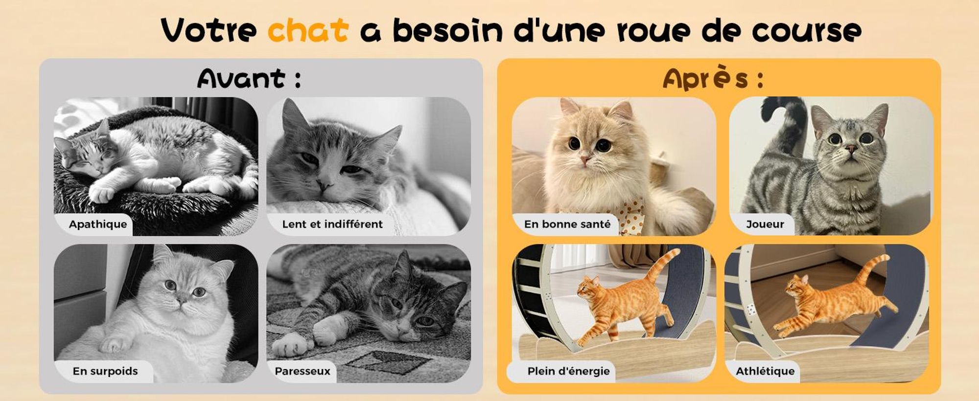 GTPLAYER Roue d'exercice pour chats, roue d'exercice pour chats, extra grande 100 cm, roue d'exercice ultra silencieuse avec tapis et jouets amovibles, autocollants, verrouillage, geeign