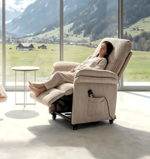 IBS Germany GmbH