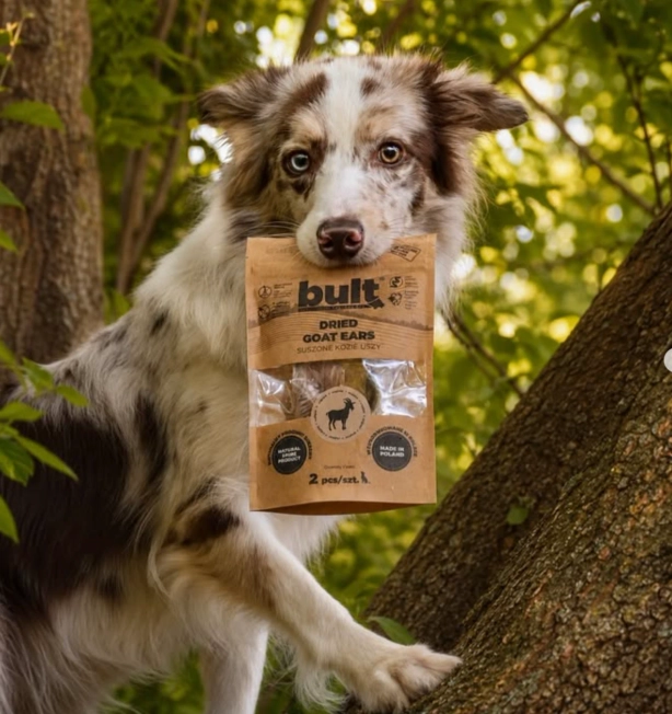 Leckere Snacks für deinen Hund.